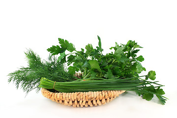 Image showing Culinary herbs