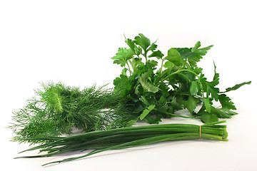 Image showing Culinary herbs