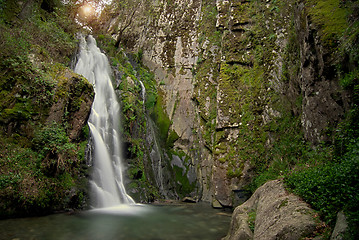 Image showing Waterfall in deep forest