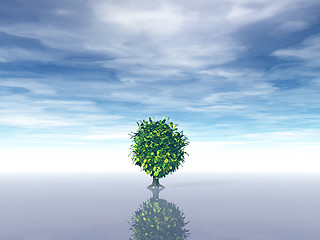 Image showing lonely tree