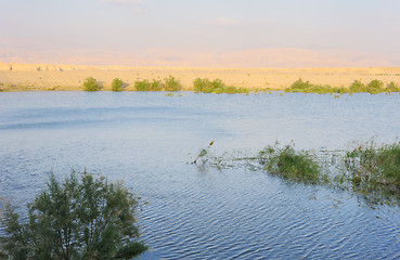 Image showing Reservoir in the Arava desert