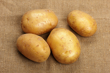 Image showing Potatoes on a sacking