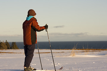 Image showing Woman Skiing