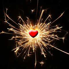 Image showing Exploding Passion