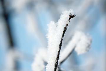 Image showing Icy weather