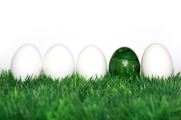 Image showing A green egg between the white eggs