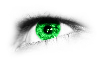 Image showing green eye