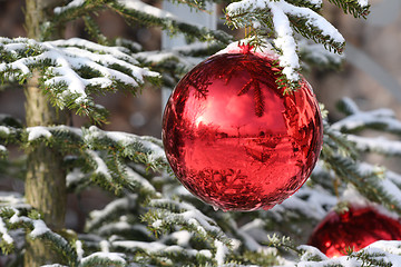 Image showing Bauble on fir