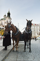 Image showing Horse Drawn Cart