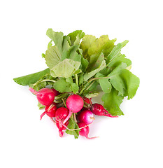 Image showing Fresh radishes