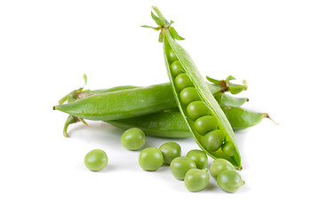 Image showing Ripe pea