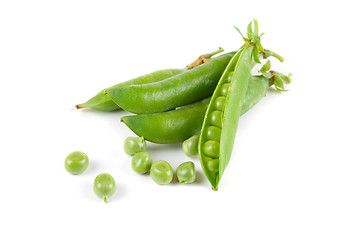 Image showing Ripe pea