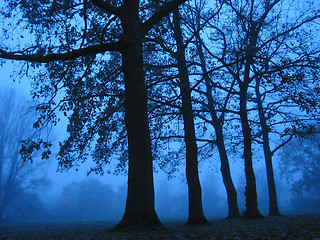 Image showing A foggy November day around dusk.