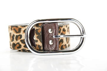 Image showing leopard belt