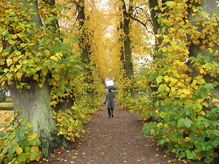 Image showing Walking in the rain a nice autumn day.