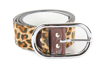 Image showing leopard belt