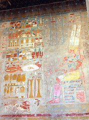 Image showing ancient egypt images in Temple of Hatshepsut