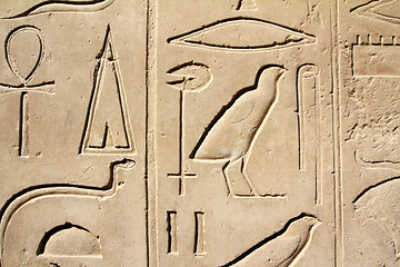 Image showing ancient egypt images and hieroglyphics