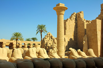 Image showing column and statues of sphinx in karnak temple