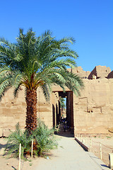 Image showing famouse karnak temple in Luxor