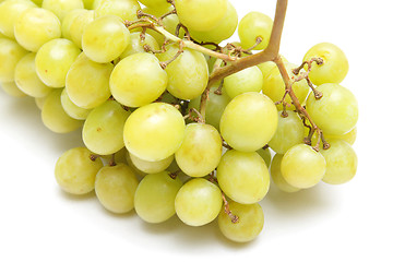 Image showing Grapes