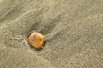 Image showing Stone on sand