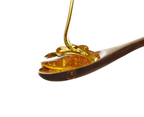 Image showing Spoon of honey