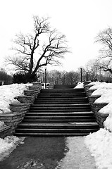 Image showing stone steps in the winter park