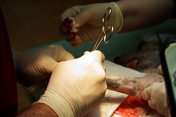 Image showing orthopedic surgeon in operative room