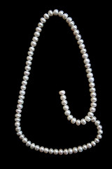 Image showing White pearls on the black velvet 