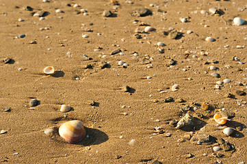 Image showing Beach sand background