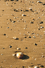 Image showing Beach sand background