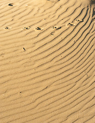 Image showing Sand background