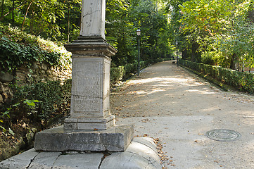 Image showing Peaceful walkway though the trees in Granada