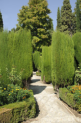 Image showing Generalife gardens in Granada, Spain