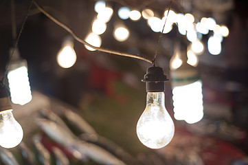 Image showing Lightbulbs in fish market stall