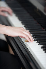 Image showing Girl's hands on piano