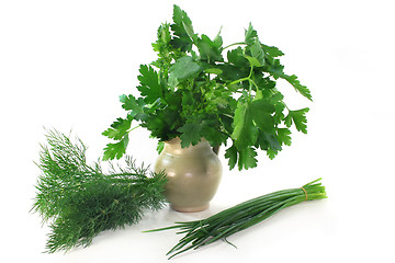 Image showing Culinary herbs