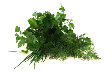 Image showing culinary herbs