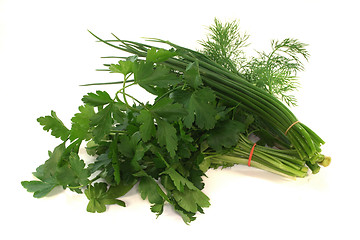 Image showing culinary herbs