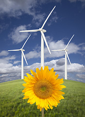 Image showing Wind Turbines Against Dramatic Sky with Bright Sunflower