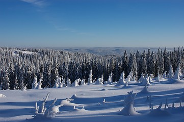 Image showing Vinterdag i Nordmarka