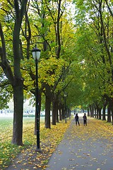 Image showing Two friends in the park