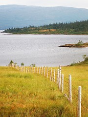 Image showing Mountain grass and fence