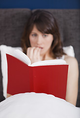 Image showing Reading a terror story