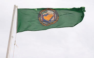 Image showing Gulf Cooperation Council flag