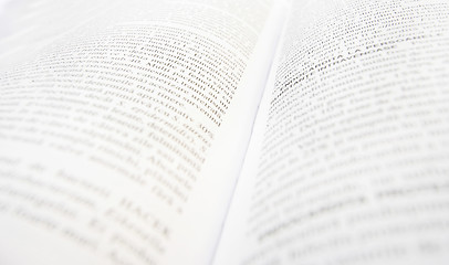 Image showing Opened book