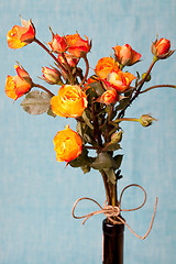 Image showing Orange roses