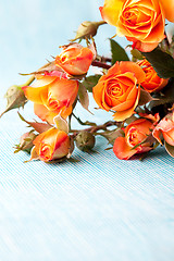 Image showing Orange roses