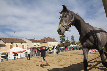 Image showing The child and the horse